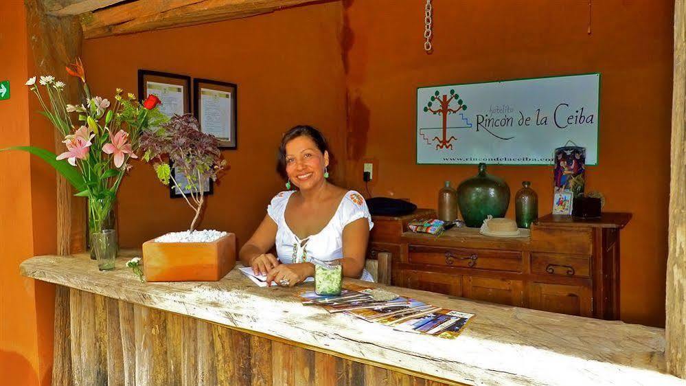 Hotelito Rincon De La Ceiba San José Zewnętrze zdjęcie